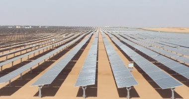 تصنيع الأمونيا الخضراء: شراكة استراتيجية تعزز الصناعات المستقبلية