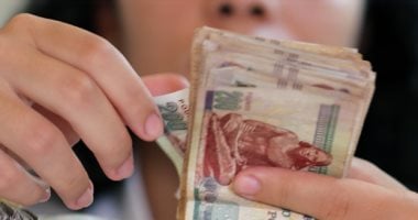 المحاسبات تطالب ممفيس للأدوية بالتحرك لاستخدام حساباتها البنكية