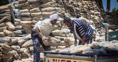 أسعار الأسمنت اليوم 26 يونيو 2025: معرفة سعر الطن وتوقعات السوق