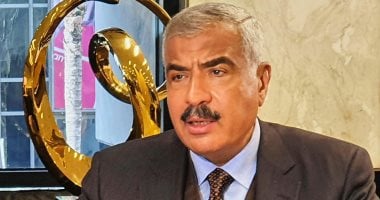 طلعت مصطفى تتصدر أقوى 100 شركة بمصر وتُتوَّج بمطور عقاري 2025